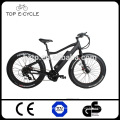 2017 Bafang 8FUN Motor 48V 750W 10Ah Fat Electric Mountain Bike